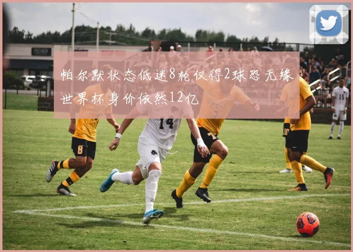 帕尔默状态低迷8轮仅得2球恐无缘世界杯身价依然12亿