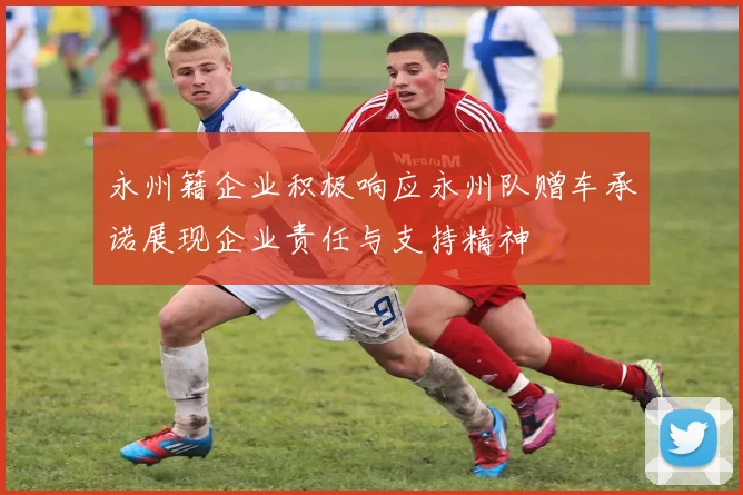 永州籍企业积极响应永州队赠车承诺展现企业责任与支持精神