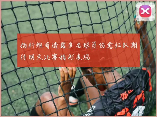 扬科维奇透露多名球员伤愈归队期待明天比赛精彩表现