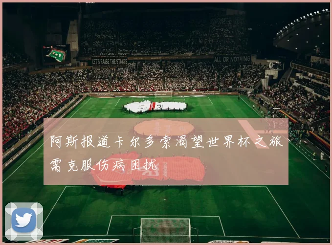 阿斯报道卡尔多索渴望世界杯之旅需克服伤病困扰