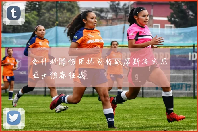 舍什科膝伤困扰或将缺席斯洛文尼亚世预赛征战