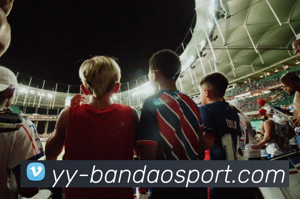 半岛足球体育APP 封面图